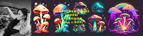 марки lsd Абаза