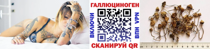 закладка  Юрюзань  hydra рабочий сайт  Галлюциногенные грибы прущие грибы 